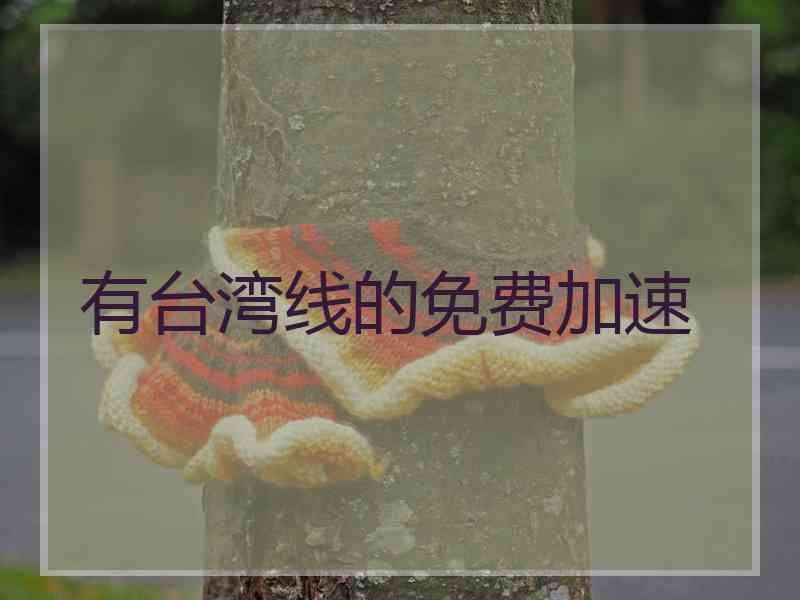 有台湾线的免费加速