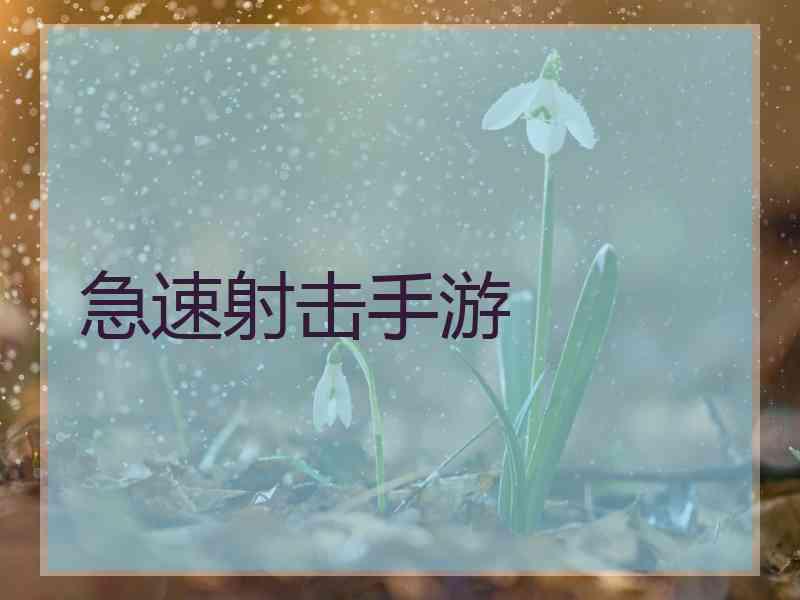 急速射击手游
