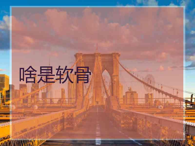 啥是软骨