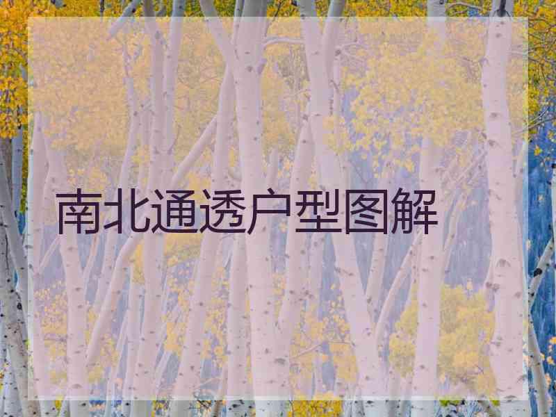 南北通透户型图解