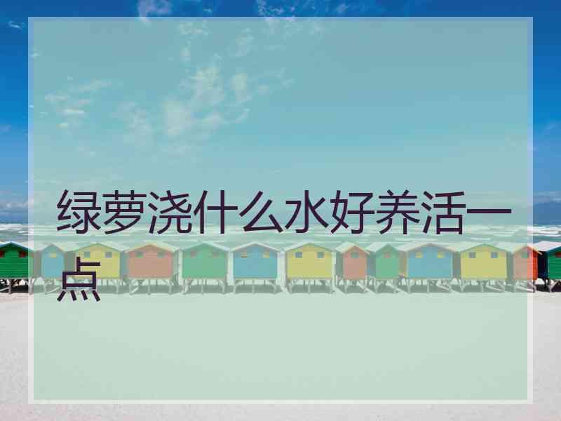 绿萝浇什么水好养活一点