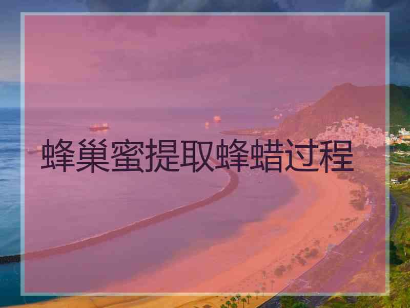 蜂巢蜜提取蜂蜡过程