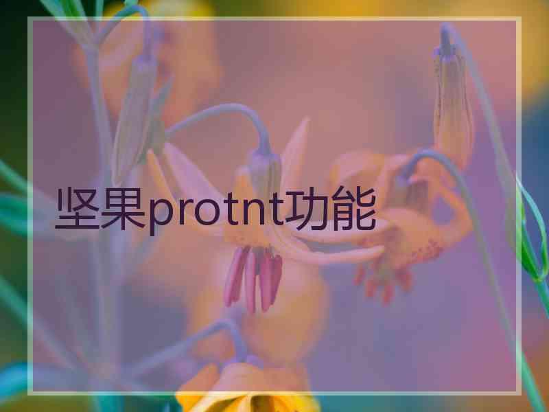 坚果protnt功能