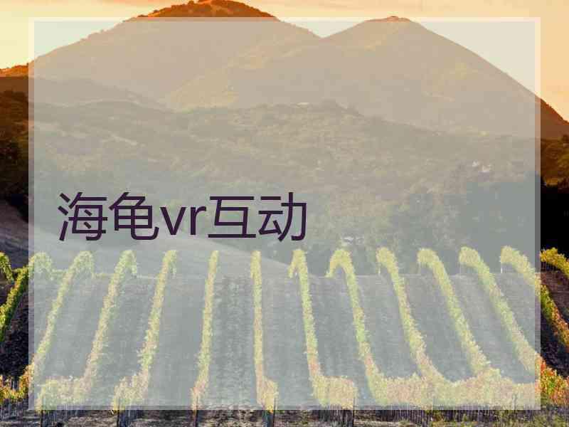 海龟vr互动