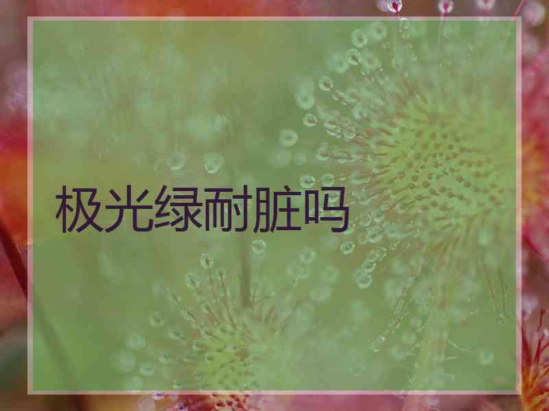 极光绿耐脏吗