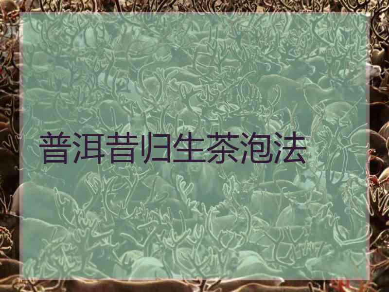 普洱昔归生茶泡法