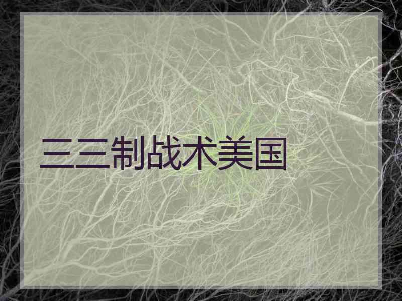 三三制战术美国