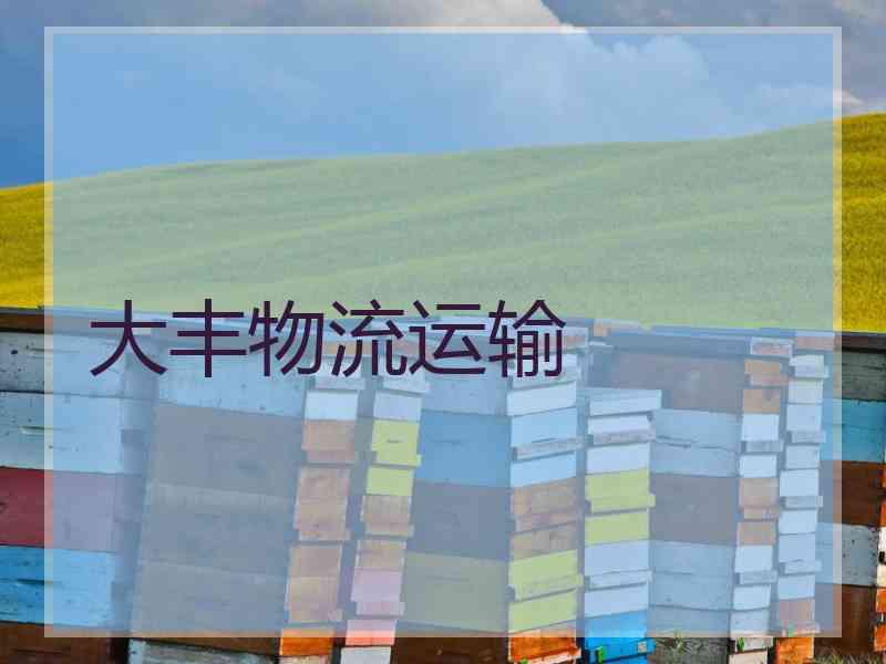 大丰物流运输