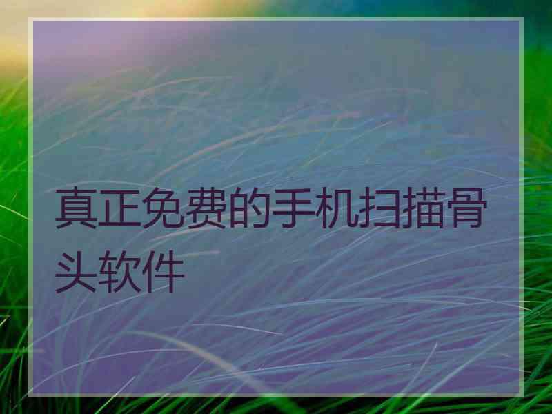 真正免费的手机扫描骨头软件