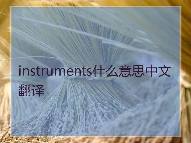 instruments什么意思中文翻译