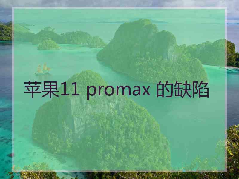 苹果11 promax 的缺陷