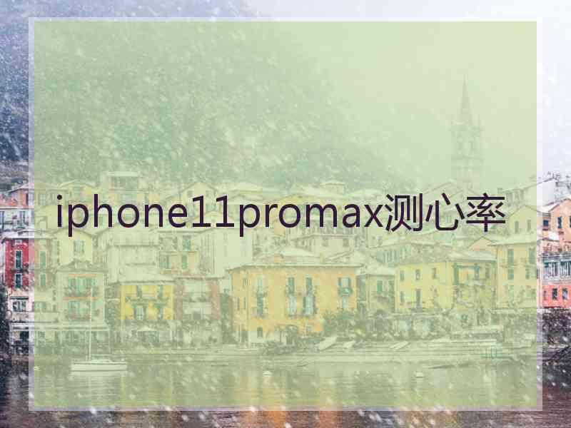 iphone11promax测心率