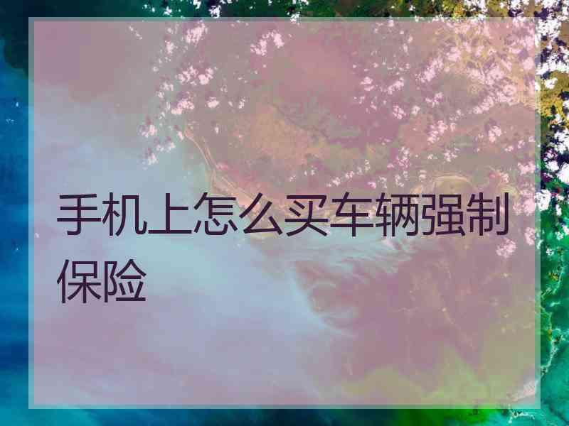 手机上怎么买车辆强制保险