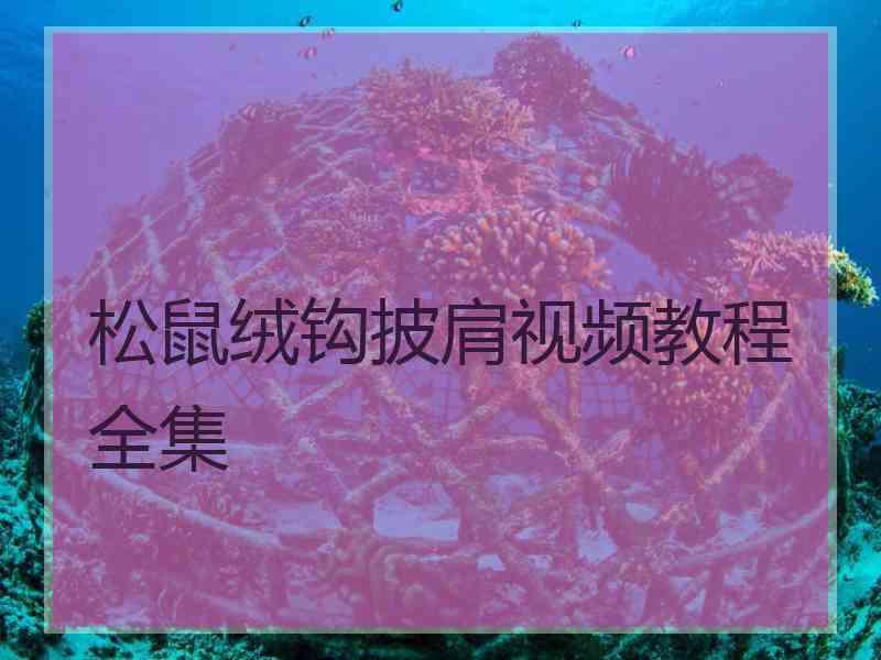 松鼠绒钩披肩视频教程全集