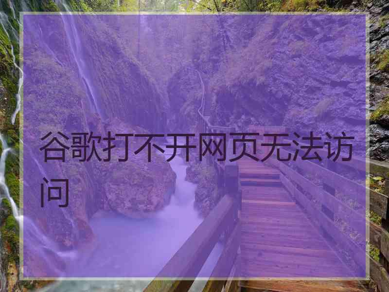 谷歌打不开网页无法访问