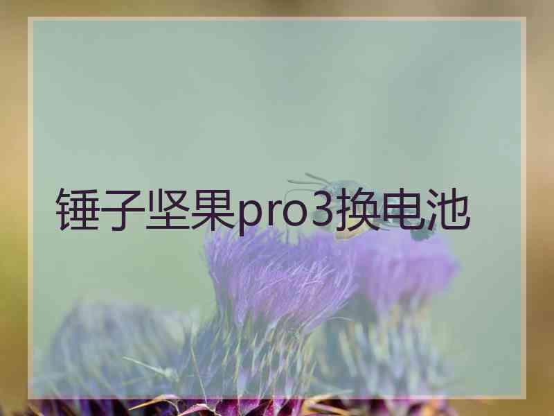 锤子坚果pro3换电池