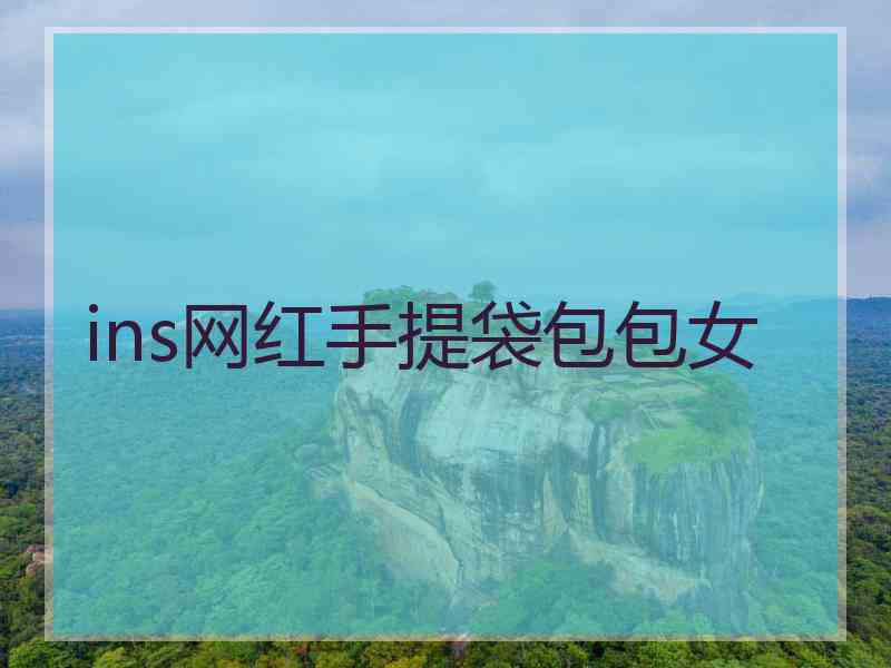 ins网红手提袋包包女