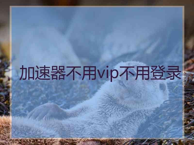 加速器不用vip不用登录