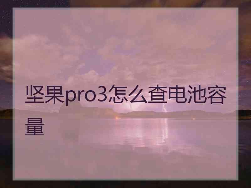 坚果pro3怎么查电池容量