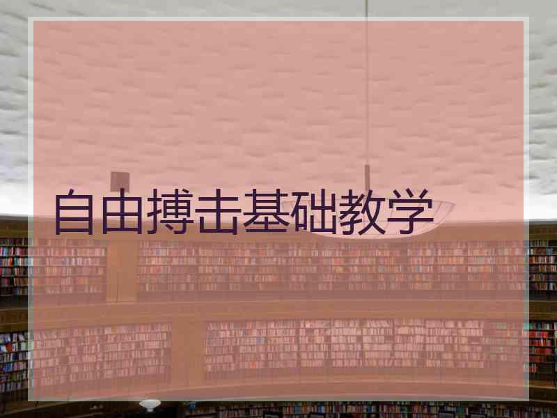 自由搏击基础教学