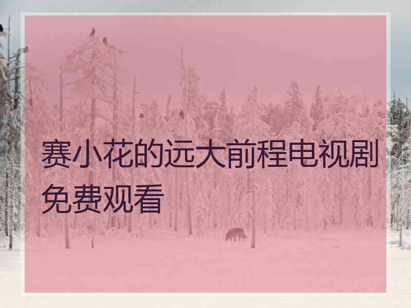 赛小花的远大前程电视剧免费观看