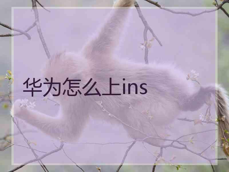 华为怎么上ins