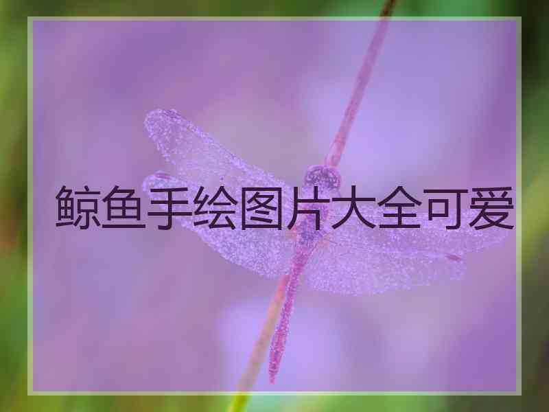鲸鱼手绘图片大全可爱