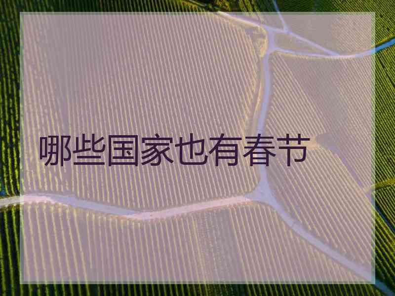 哪些国家也有春节