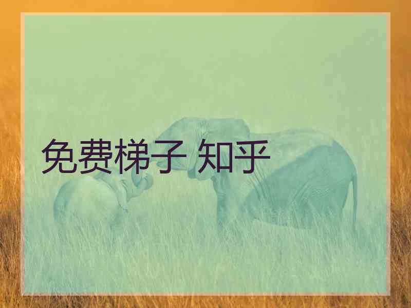免费梯子 知乎