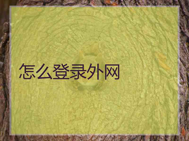 怎么登录外网