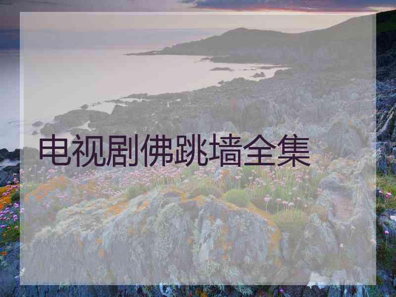 电视剧佛跳墙全集