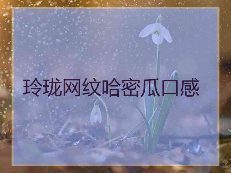 玲珑网纹哈密瓜口感
