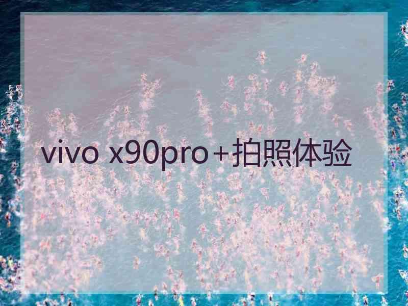 vivo x90pro+拍照体验