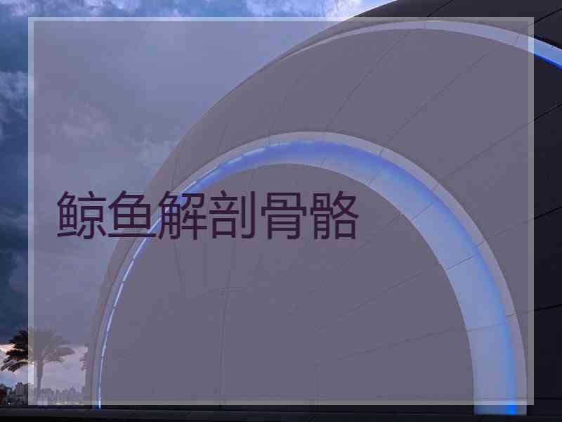 鲸鱼解剖骨骼
