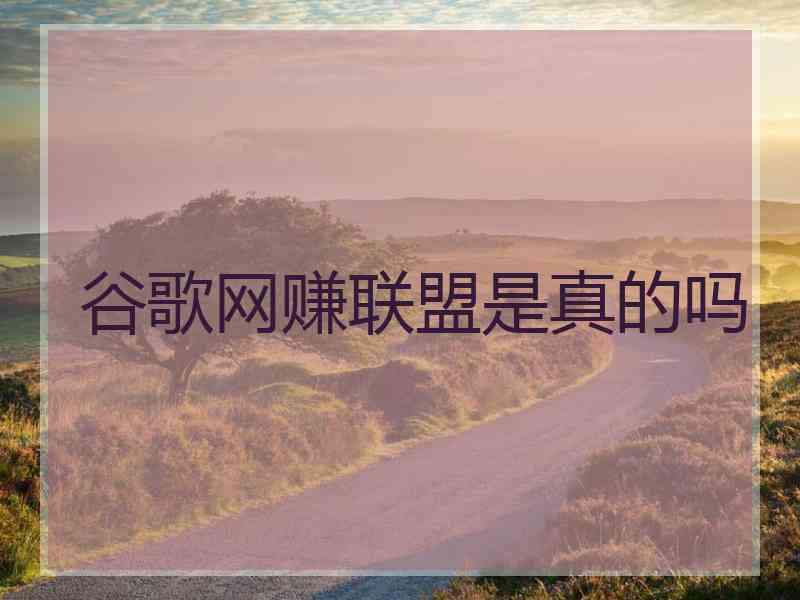 谷歌网赚联盟是真的吗