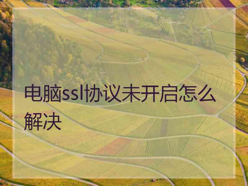 电脑ssl协议未开启怎么解决