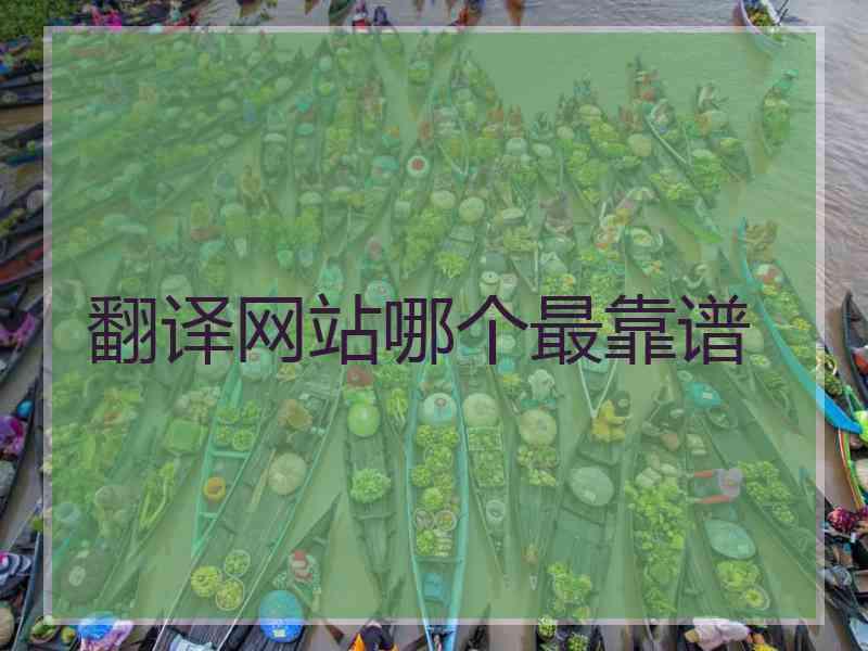翻译网站哪个最靠谱