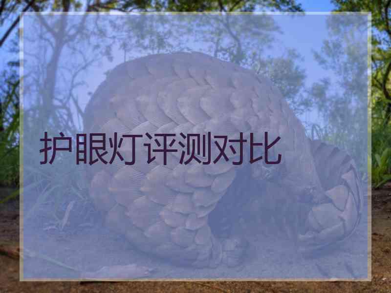 护眼灯评测对比