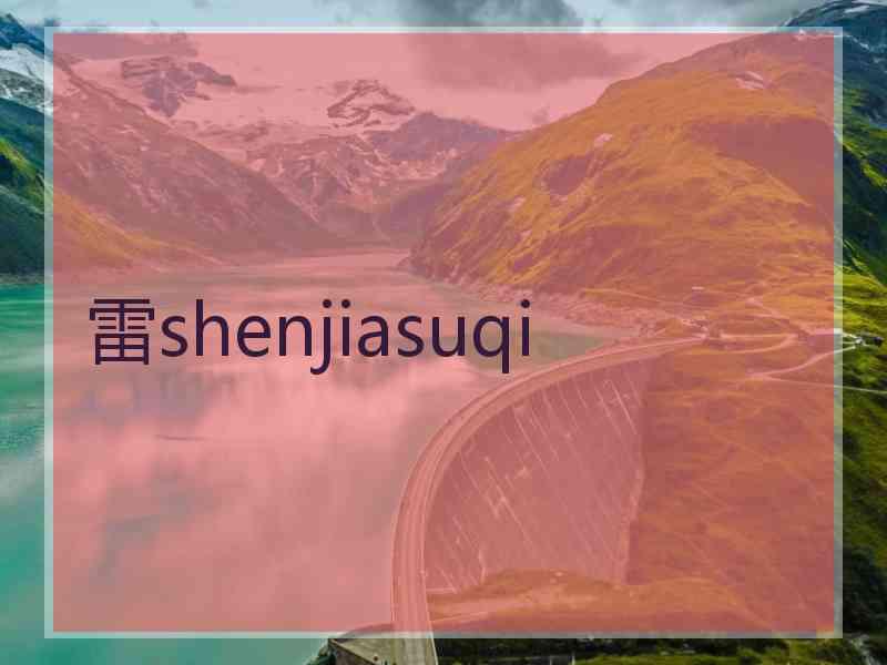 雷shenjiasuqi