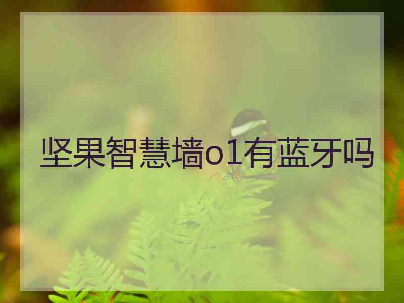 坚果智慧墙o1有蓝牙吗