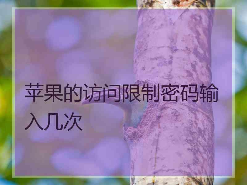 苹果的访问限制密码输入几次
