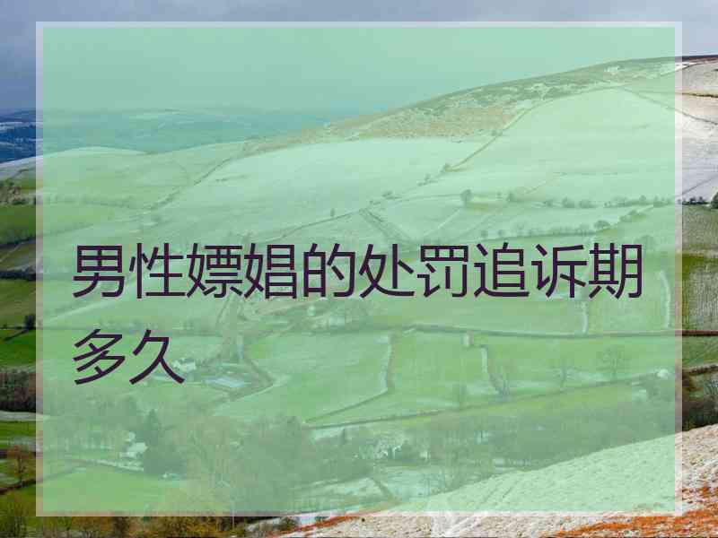 男性嫖娼的处罚追诉期多久