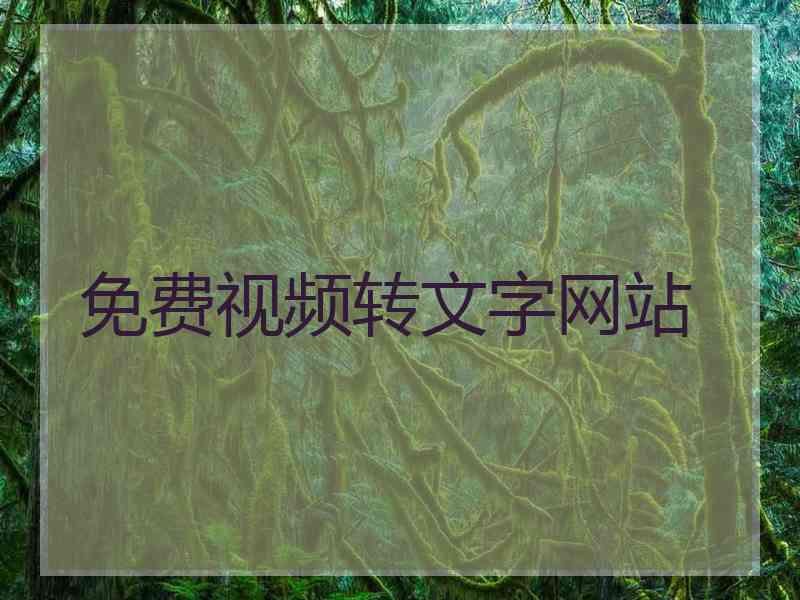 免费视频转文字网站