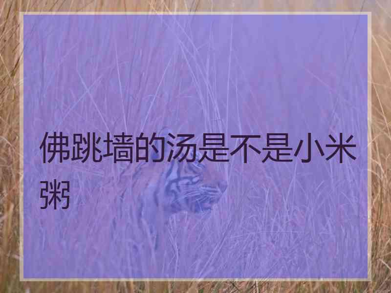 佛跳墙的汤是不是小米粥