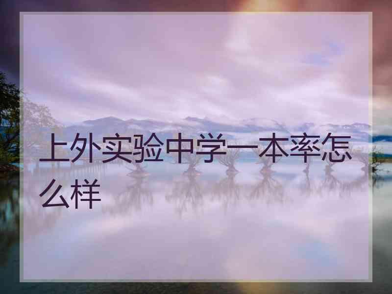 上外实验中学一本率怎么样