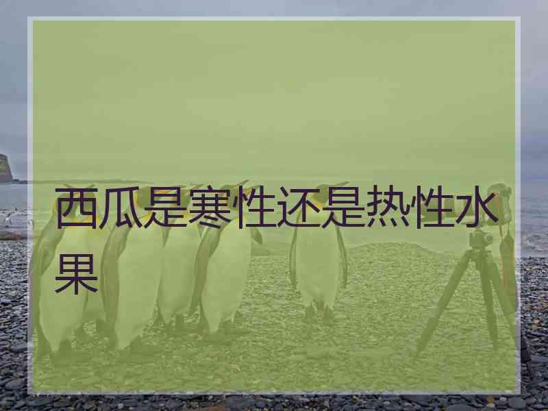 西瓜是寒性还是热性水果