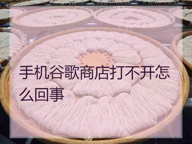 手机谷歌商店打不开怎么回事