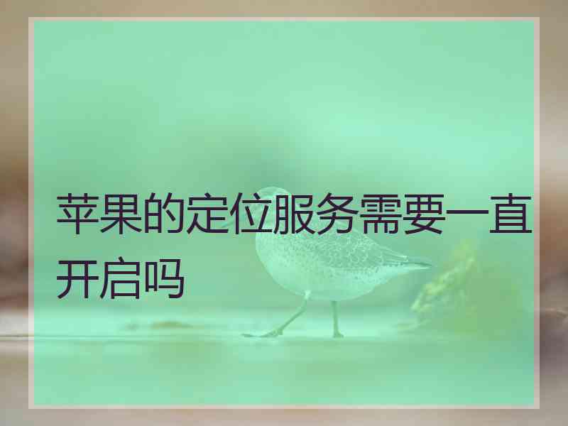 苹果的定位服务需要一直开启吗