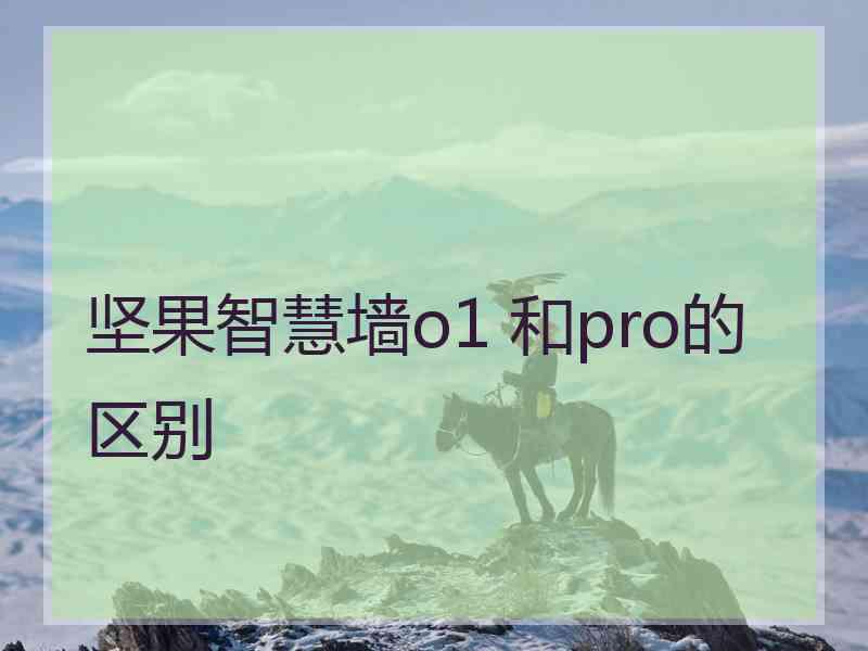坚果智慧墙o1 和pro的区别