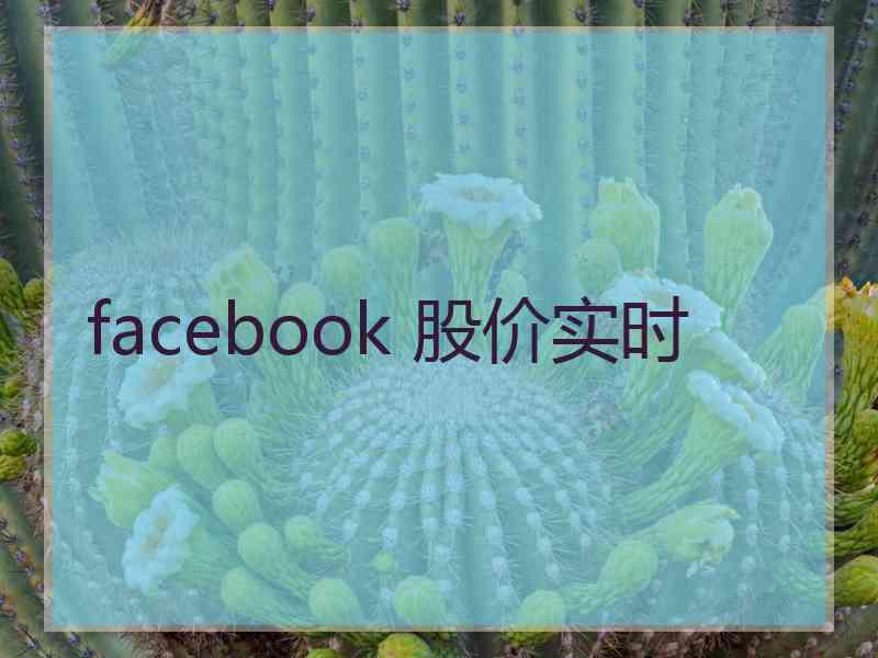 facebook 股价实时